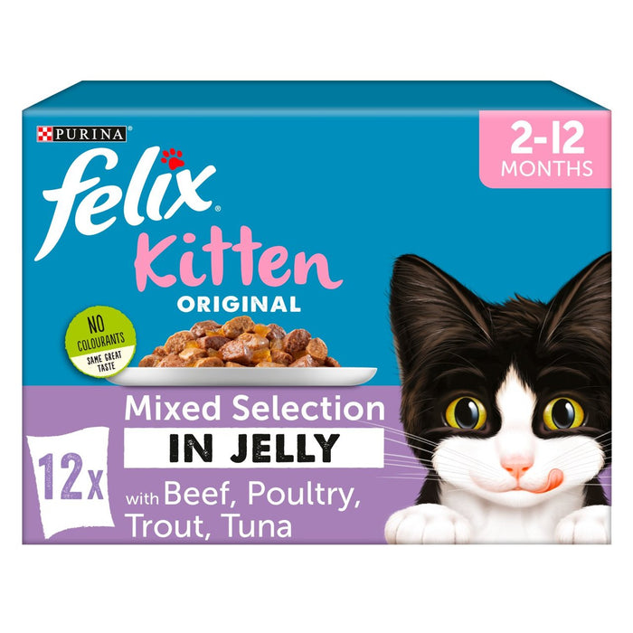 فيليكس طعام القطط الصغيرة بالجيلي 12 × 100 جرام