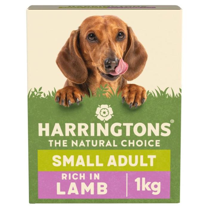 هارينجتون كلب خروف صغير 1 كجم