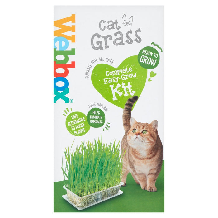 مجموعة Webbox Cat Grass الكاملة سهلة النمو في المنزل